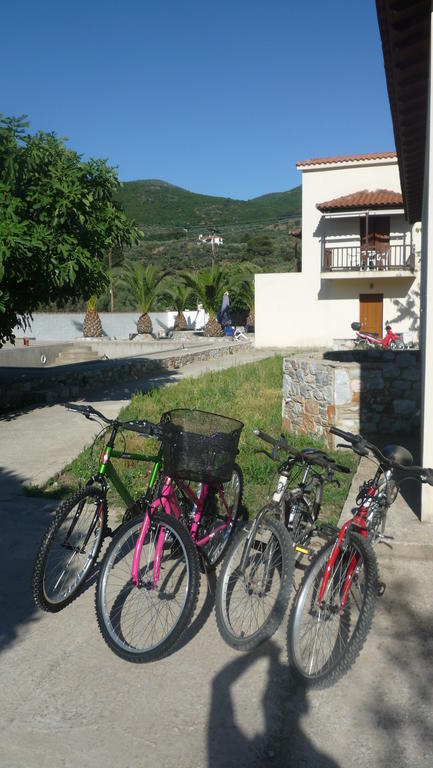 Apartament Nautilus Βραχυχρονια Μισθωση Skopelos Zewnętrze zdjęcie